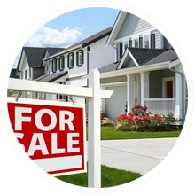 LeadReveal homeowner insight